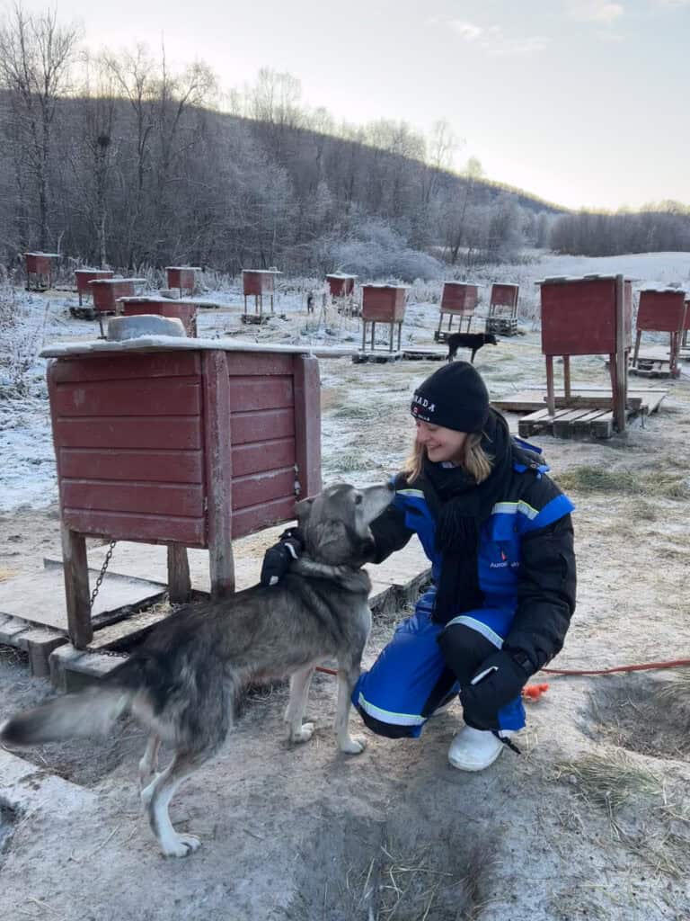 Husky sledding in Tromsø